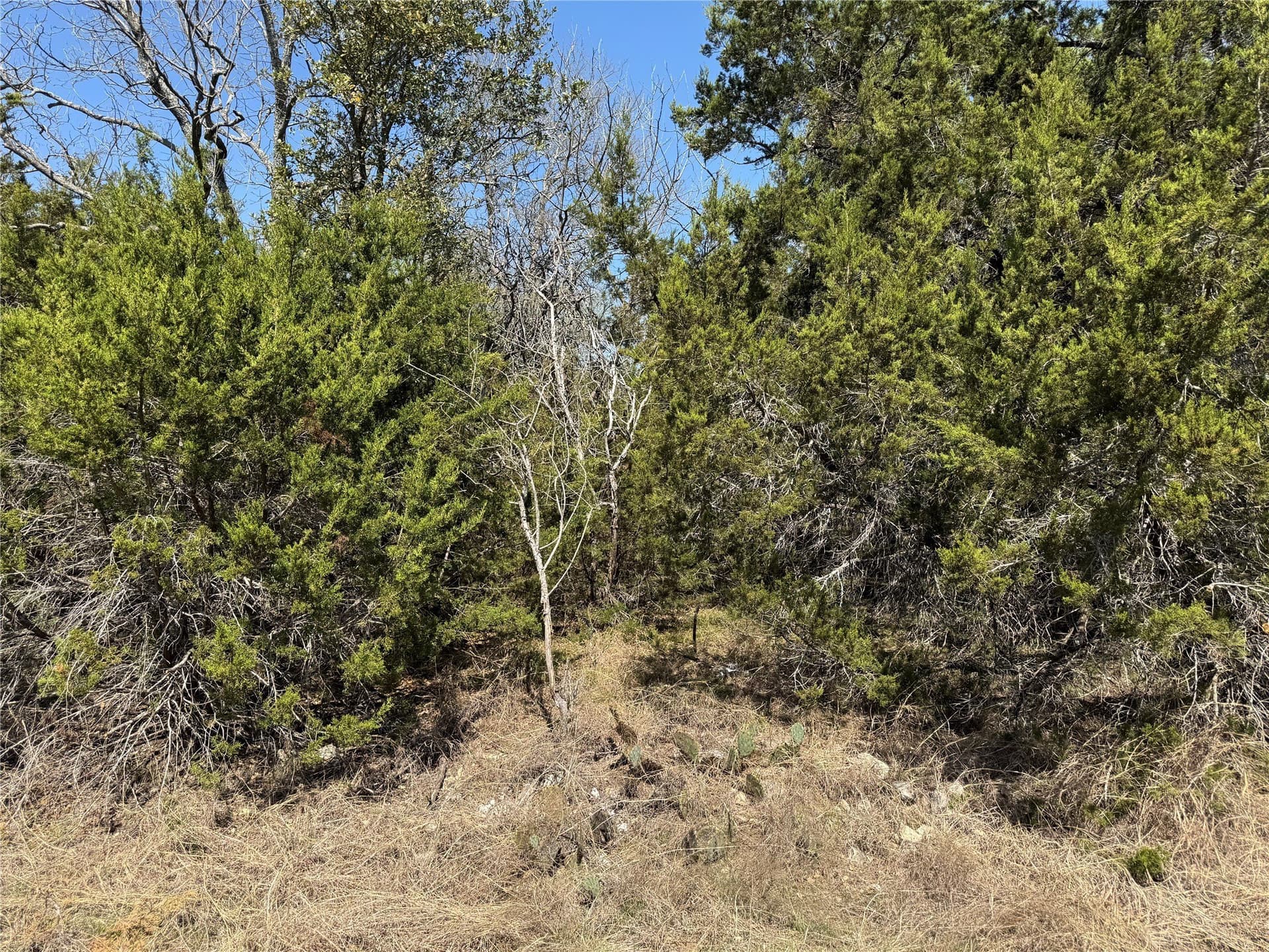0.31 acres in Hill County - photo 4
