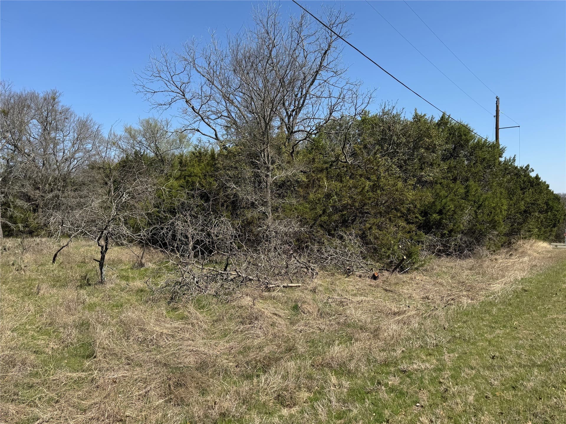 0.31 acres in Hill County - photo 9