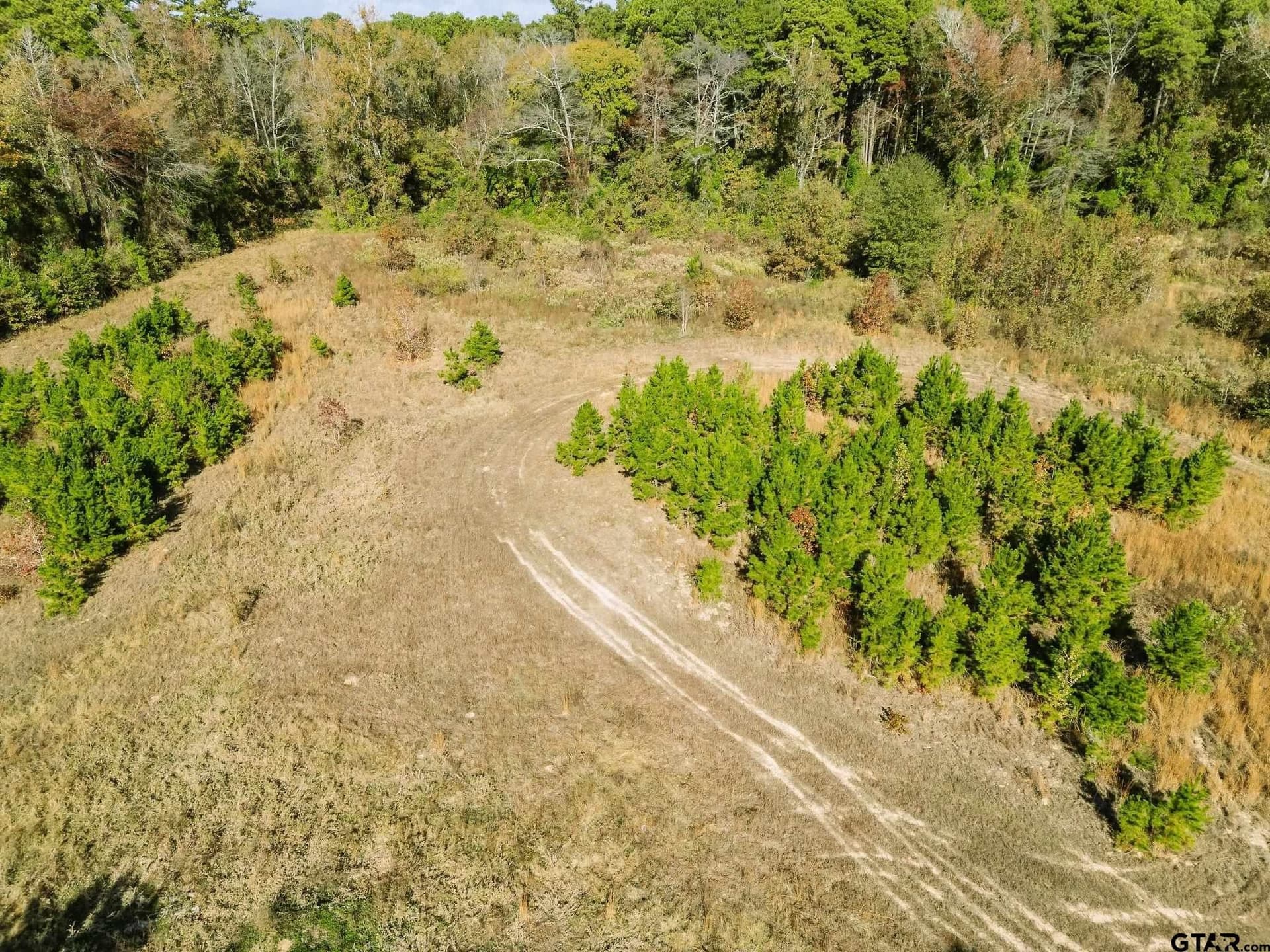 11.6 acres in Upshur County - photo 5