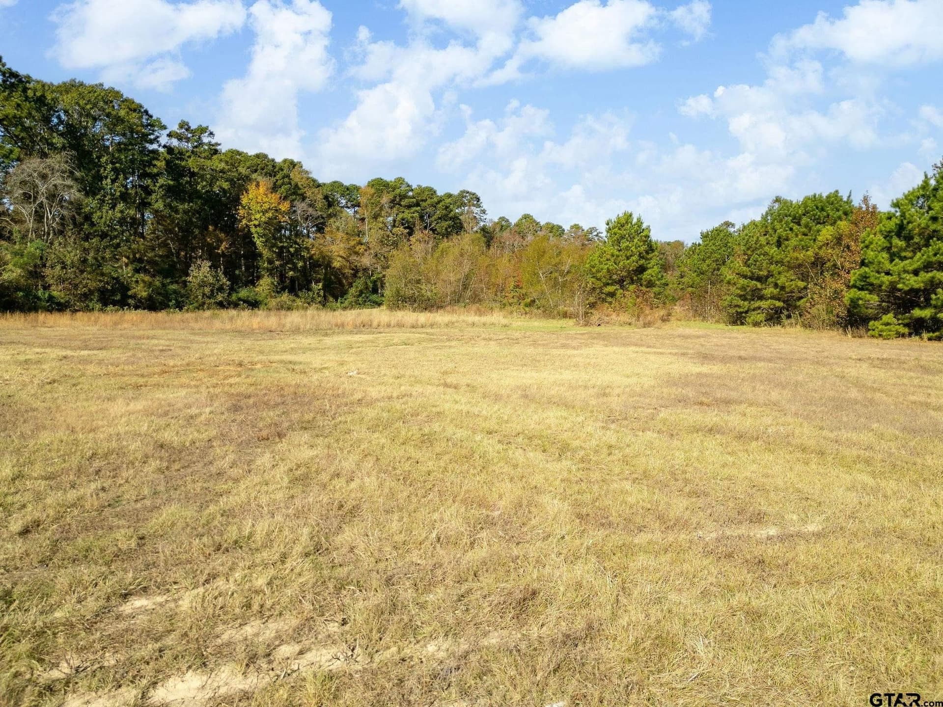 11.6 acres in Upshur County - photo 7