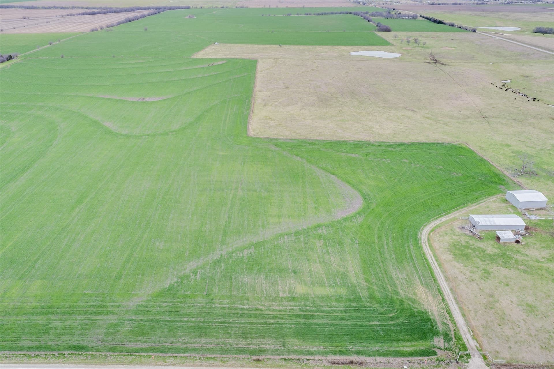 2.53 acres in Grayson County gallery image 3