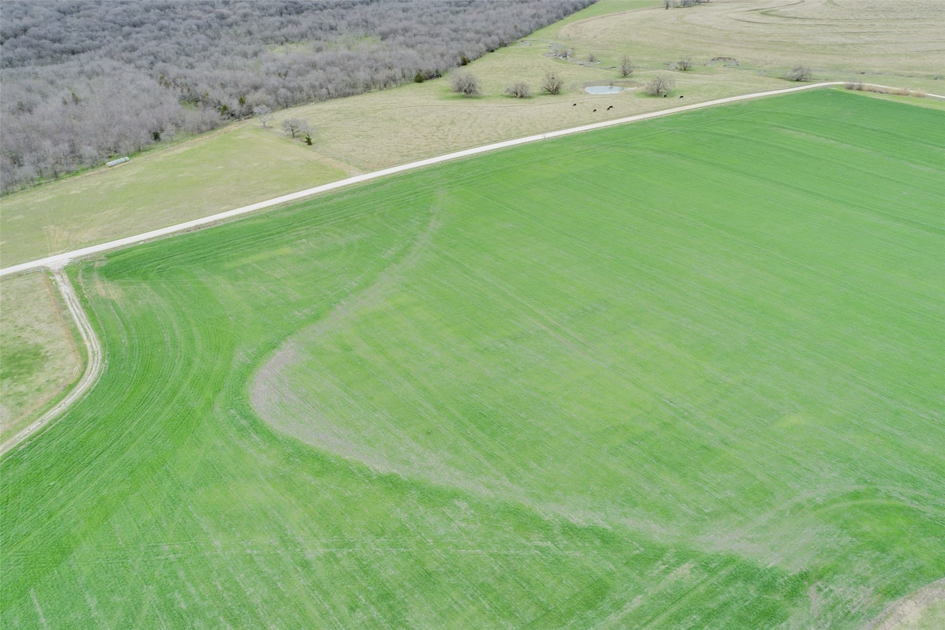 2.53 acres in Grayson County featured view