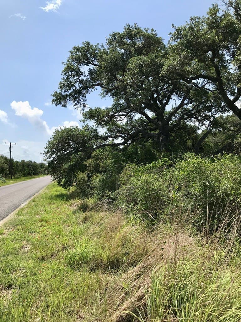 21.3 acres in Texas County - photo 9