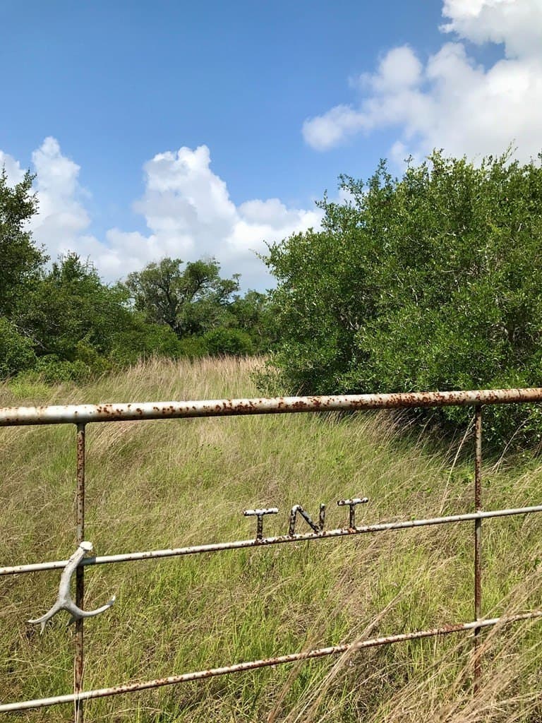 21.3 acres in Texas County gallery image 2