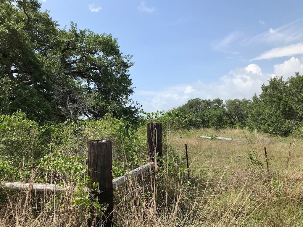 21.3 acres in Texas County - photo 12