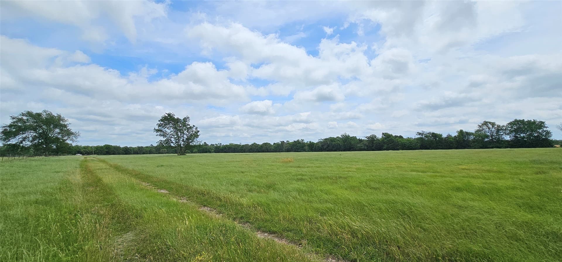 44.41 acres in Van Zandt County - photo 16