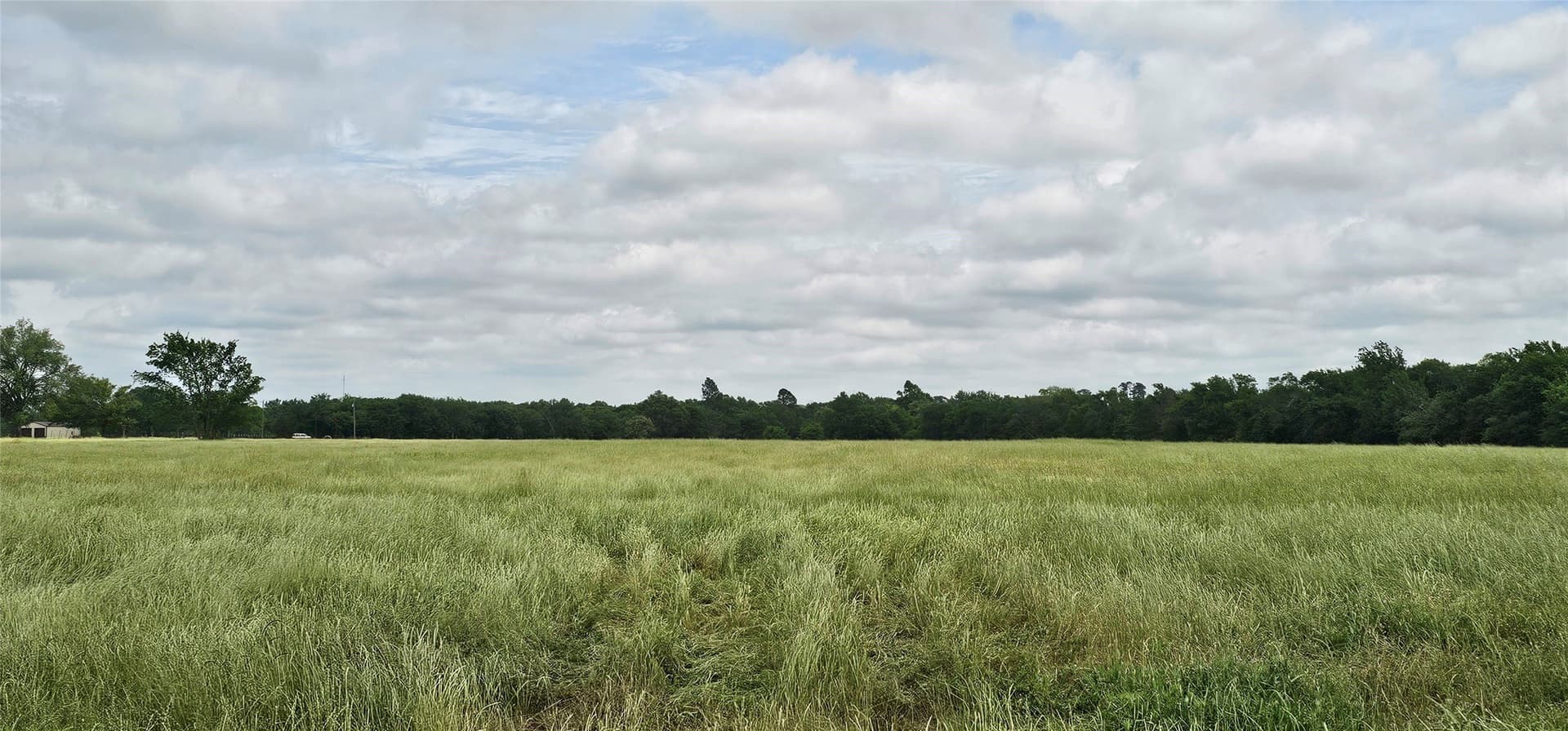 44.41 acres in Van Zandt County - photo 13