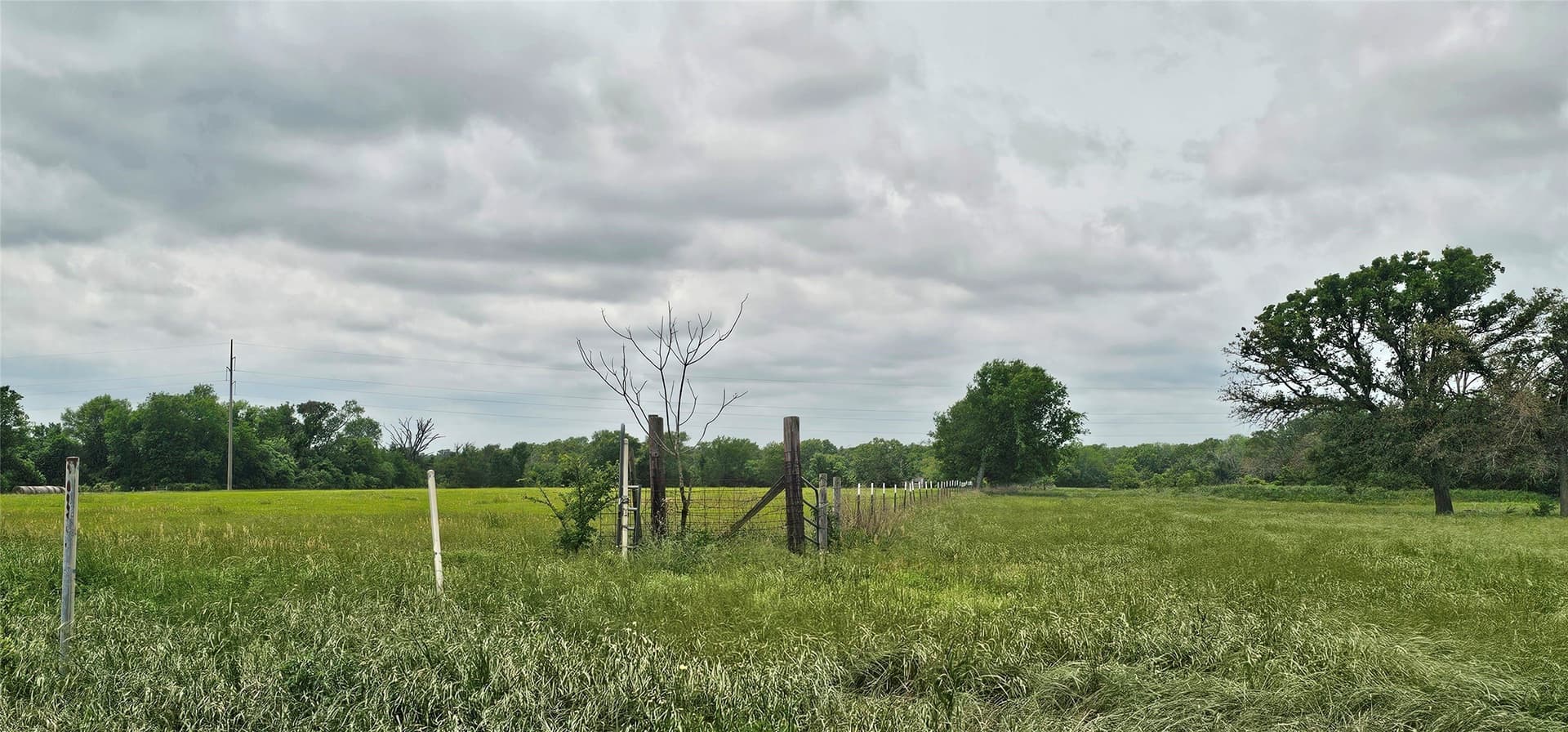 44.41 acres in Van Zandt County - photo 14