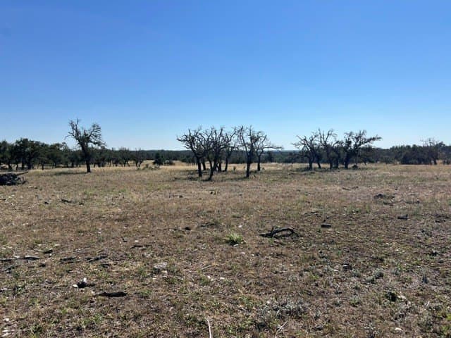 10.03 acres in Gillespie County - photo 26