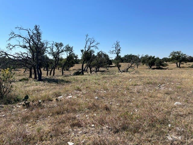 10.03 acres in Gillespie County - photo 12