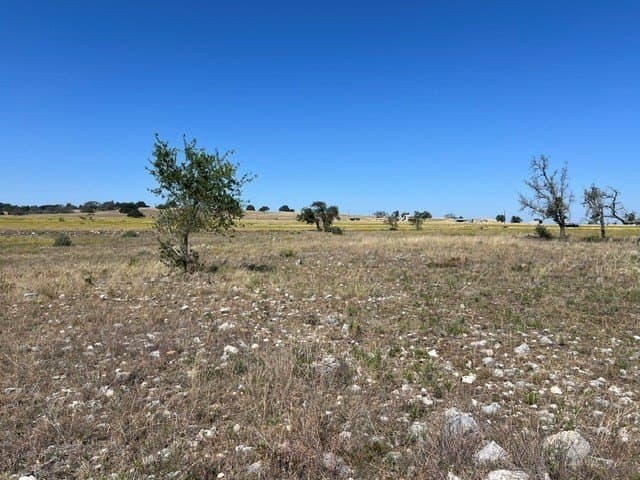 10.03 acres in Gillespie County - photo 8