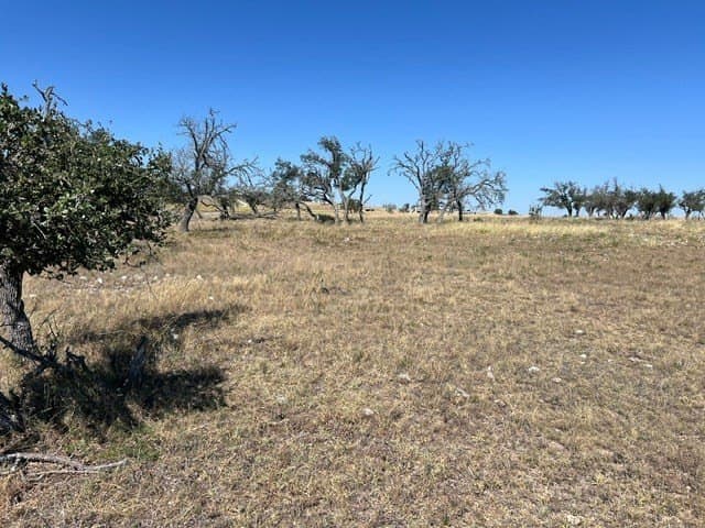 10.03 acres in Gillespie County - photo 11