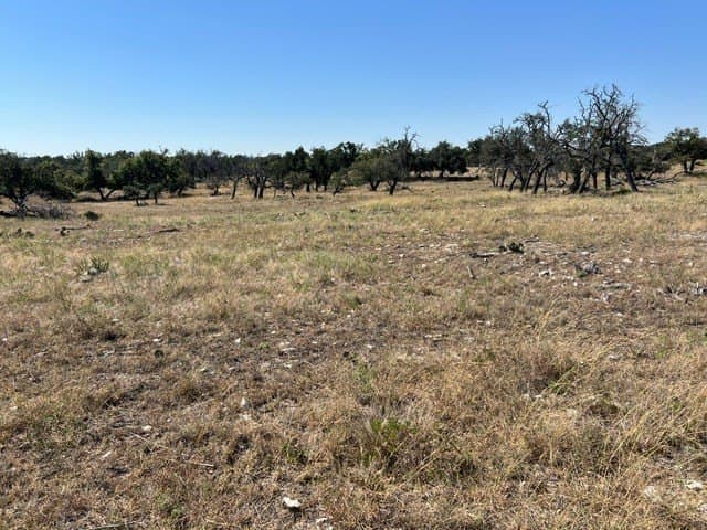 10.03 acres in Gillespie County - photo 14