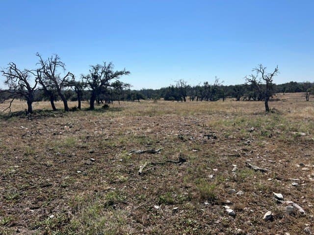 10.03 acres in Gillespie County - photo 23