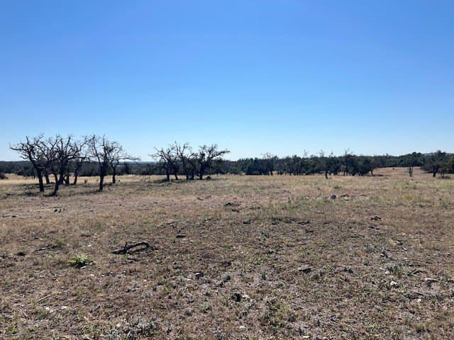 10.03 acres in Gillespie County - photo 24