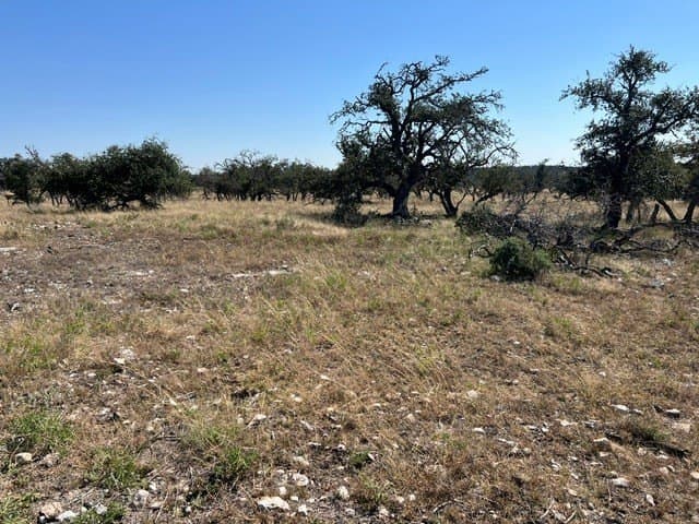 10.03 acres in Gillespie County - photo 17