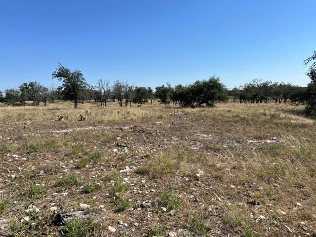 10.03 acres in Gillespie County - photo 18