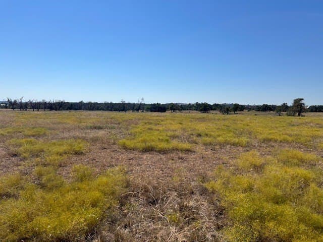 0.25 acres in Gillespie County gallery image 4
