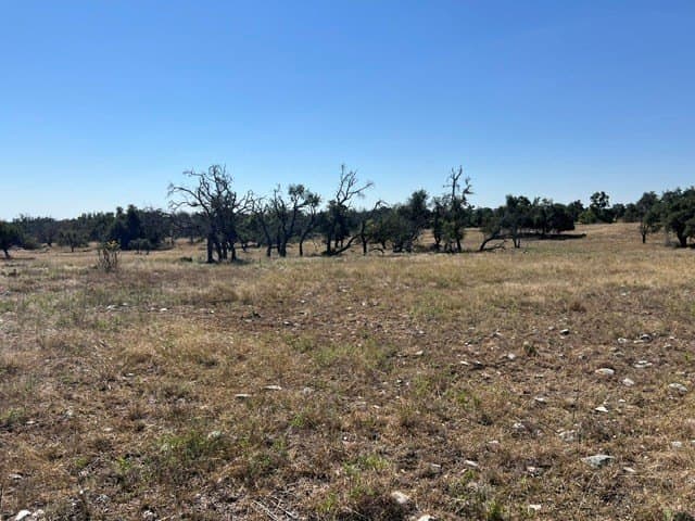 10.03 acres in Gillespie County - photo 20