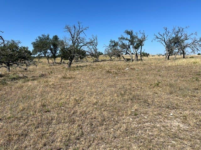 10.03 acres in Gillespie County - photo 10