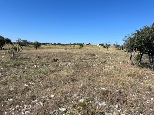 10.03 acres in Gillespie County - photo 13