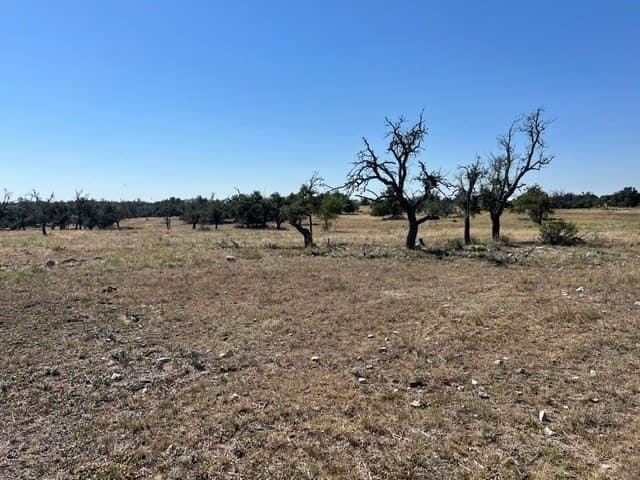 10.03 acres in Gillespie County - photo 34