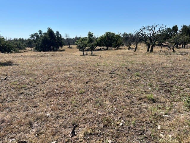 10.03 acres in Gillespie County - photo 16