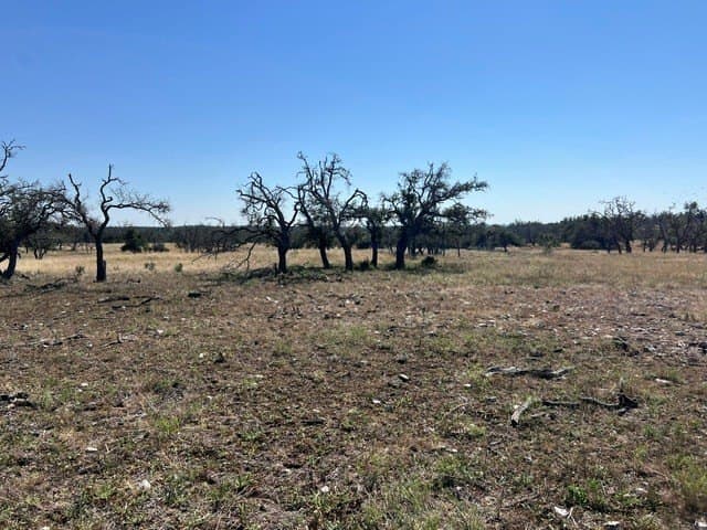 10.03 acres in Gillespie County - photo 22