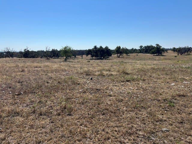 10.03 acres in Gillespie County - photo 7