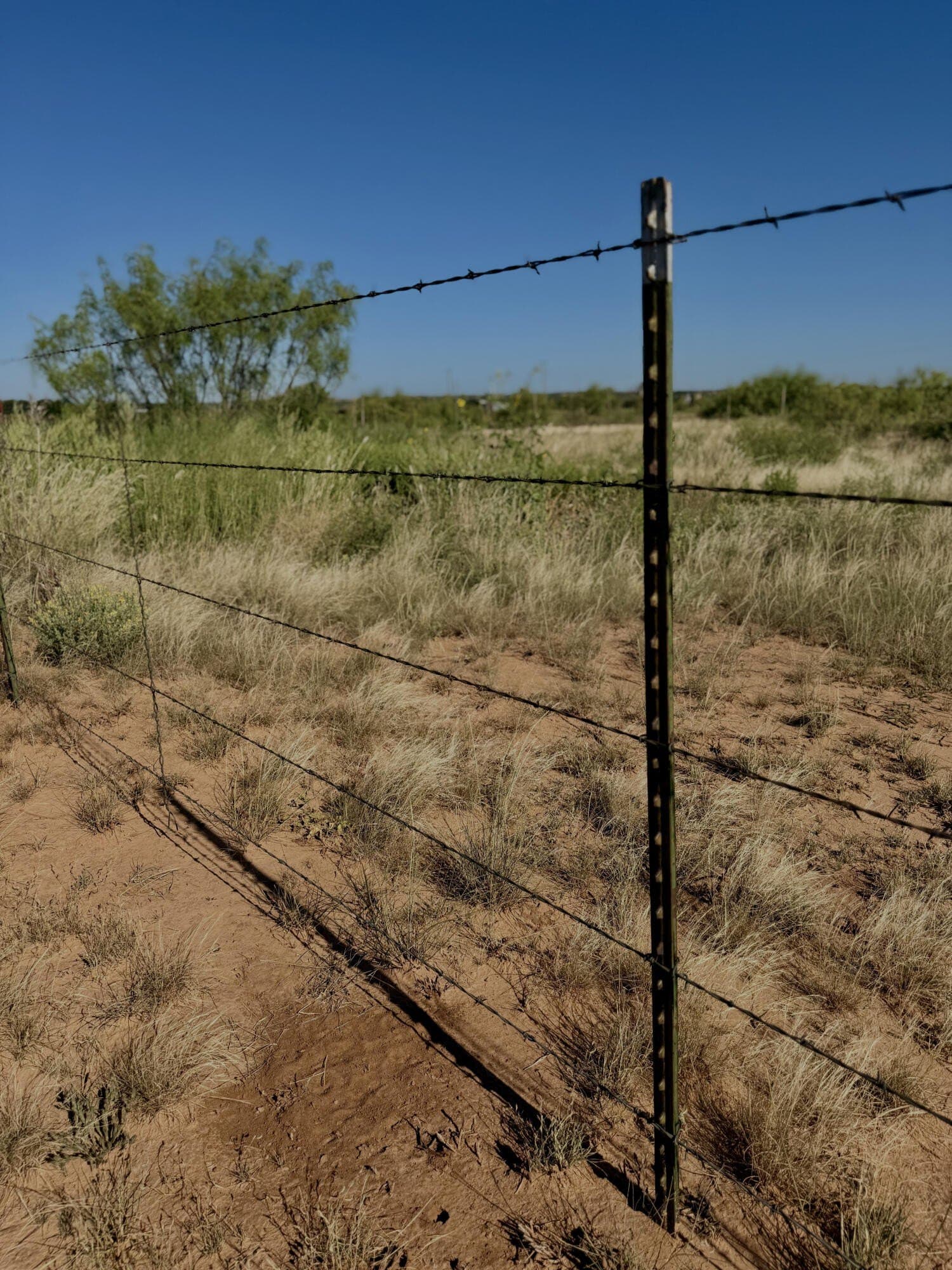 25.39 acres in Garza County - photo 8