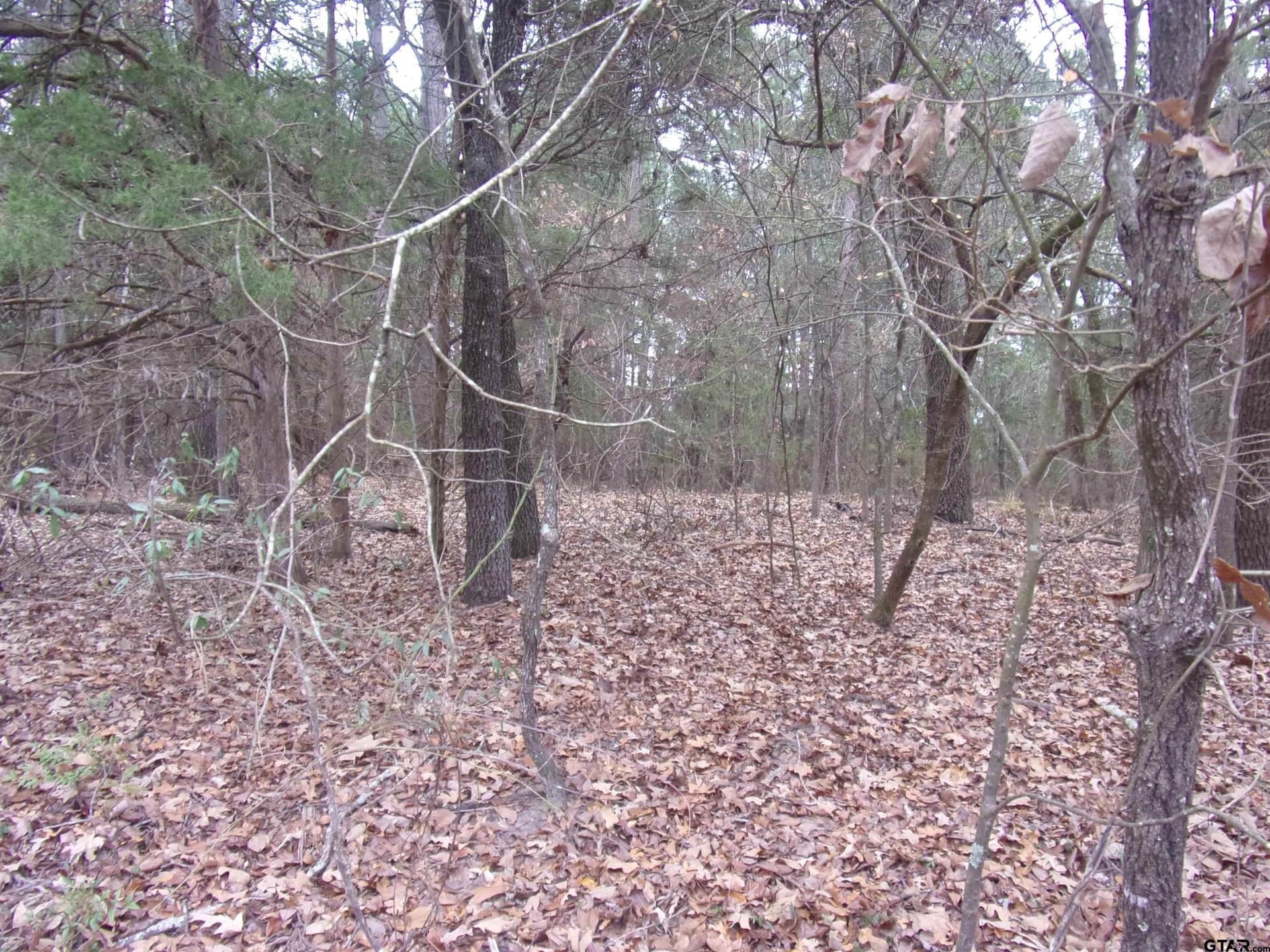 1.24 acres in Van Zandt County - photo 7