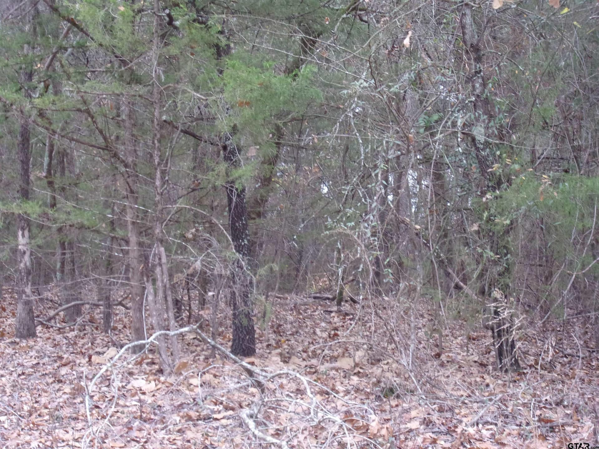 1.24 acres in Van Zandt County - photo 5