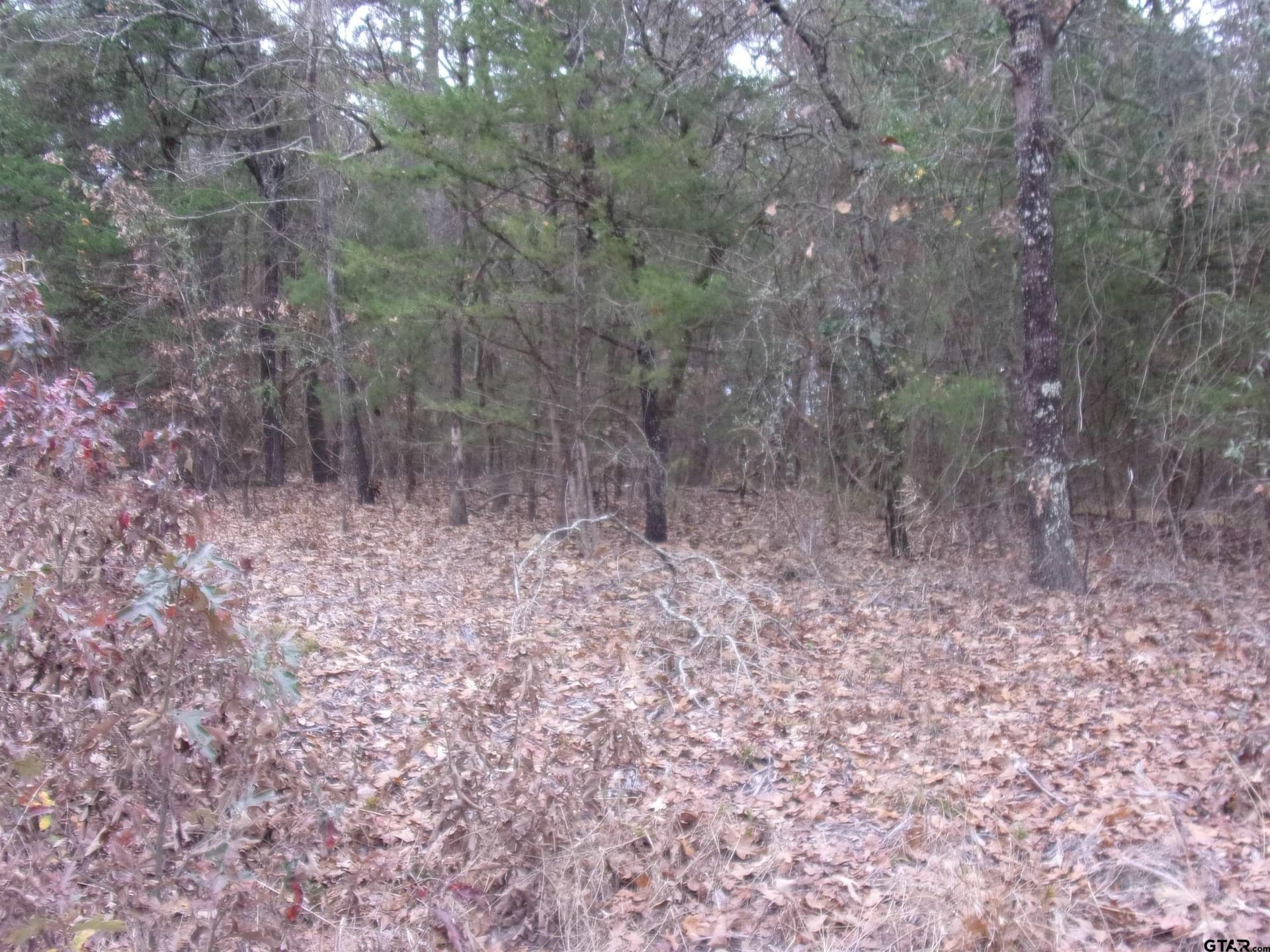 1.24 acres in Van Zandt County - photo 4