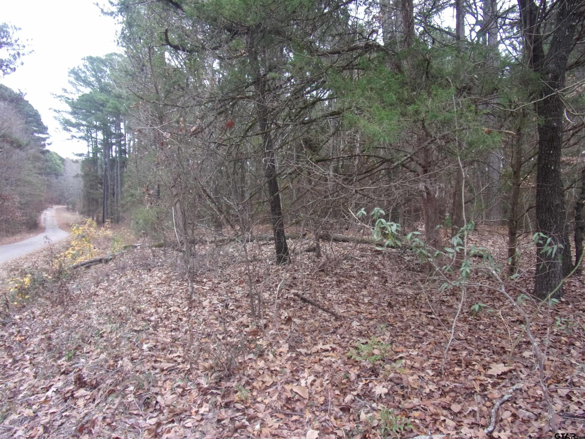 1.24 acres in Van Zandt County - photo 8