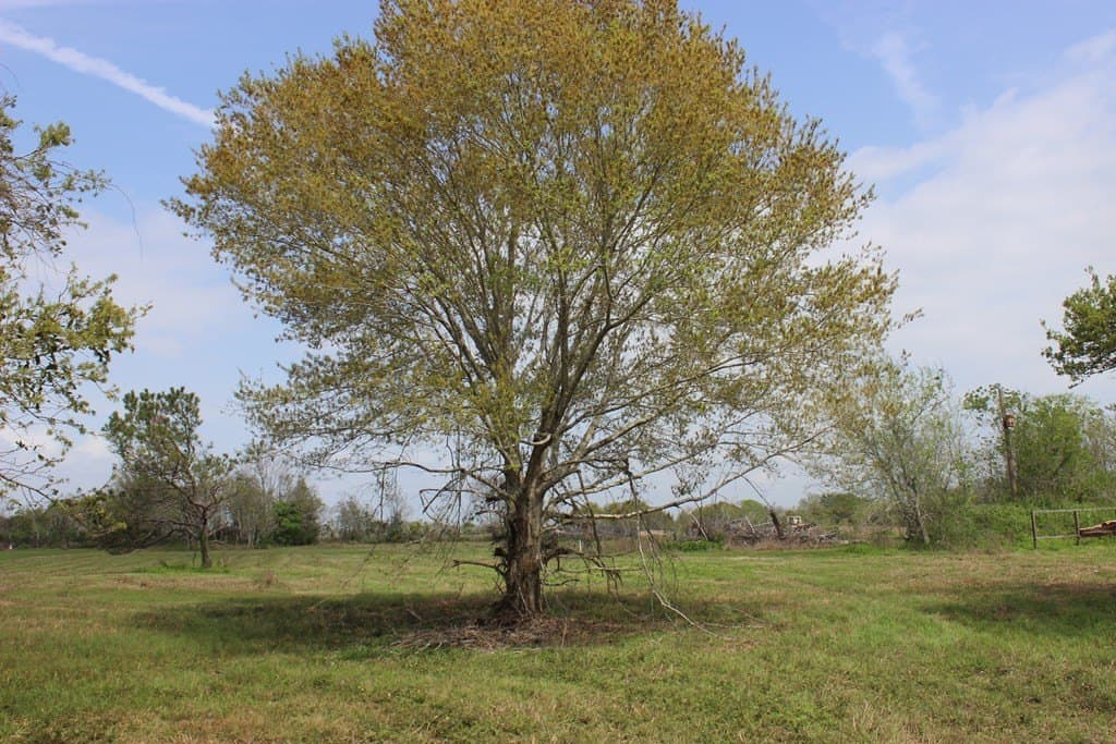 8.2 acres in Palacios Area County - photo 5