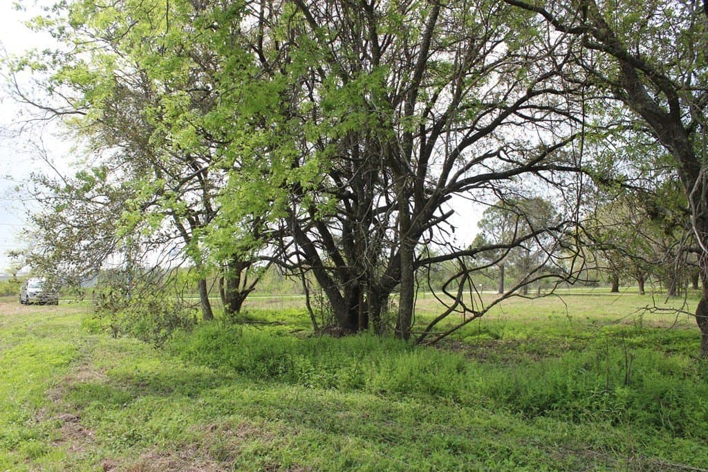 8.2 acres in Palacios Area County - photo 3
