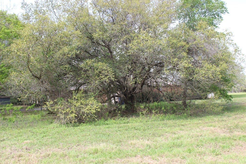 8.2 acres in Palacios Area County - photo 4