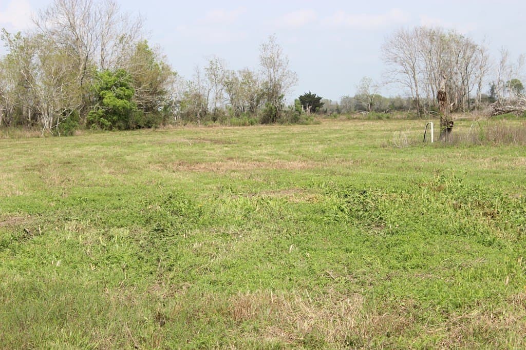 8.2 acres in Palacios Area County - photo 7