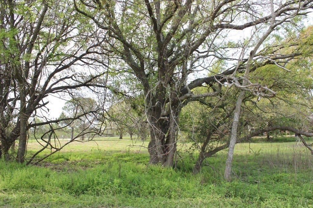 8.2 acres in Palacios Area County - photo 6