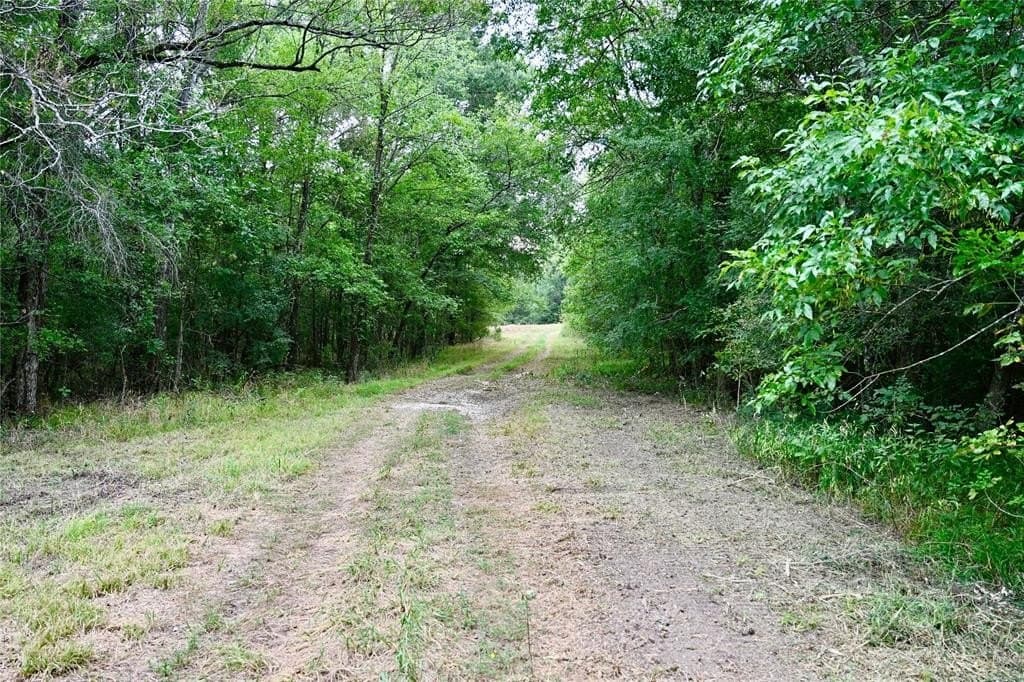 223 acres in Franklin (TX) County gallery image 2