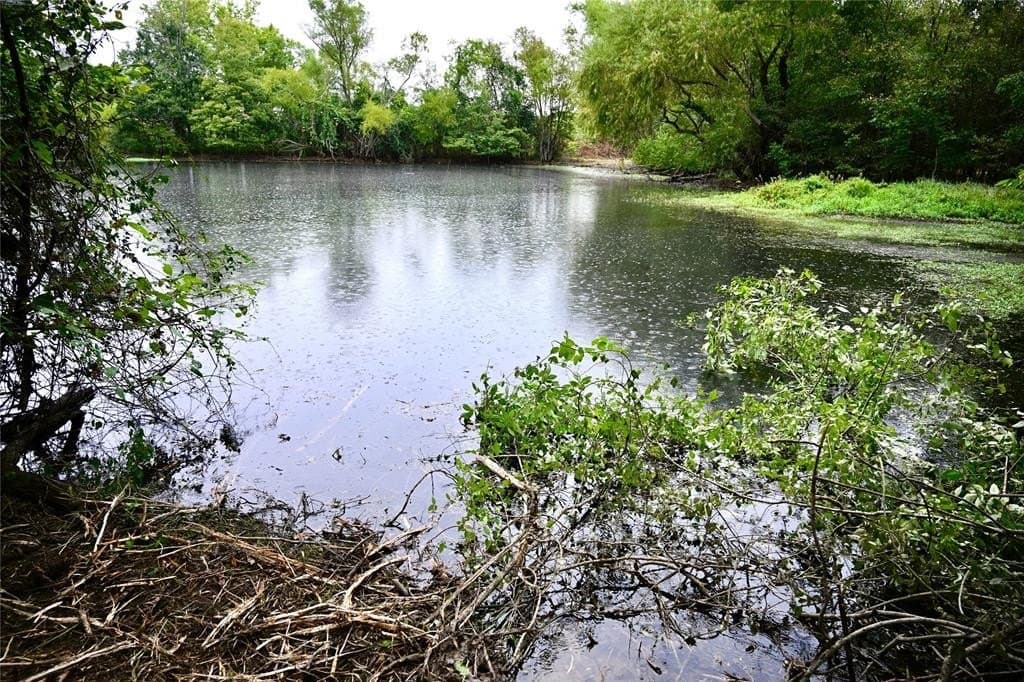 223 acres in Franklin (TX) County gallery image 4