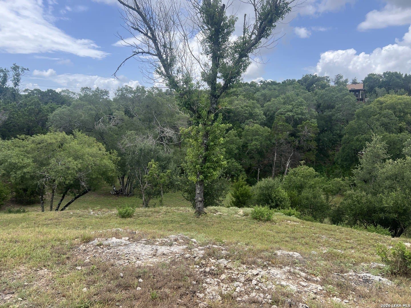 0.69 acres in Comal County - photo 9