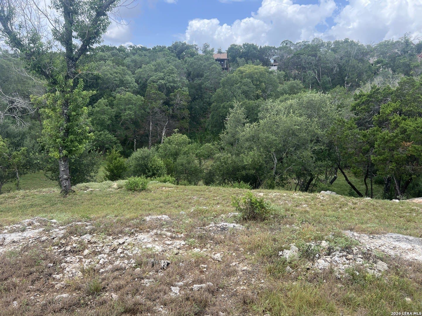 0.69 acres in Comal County - photo 10