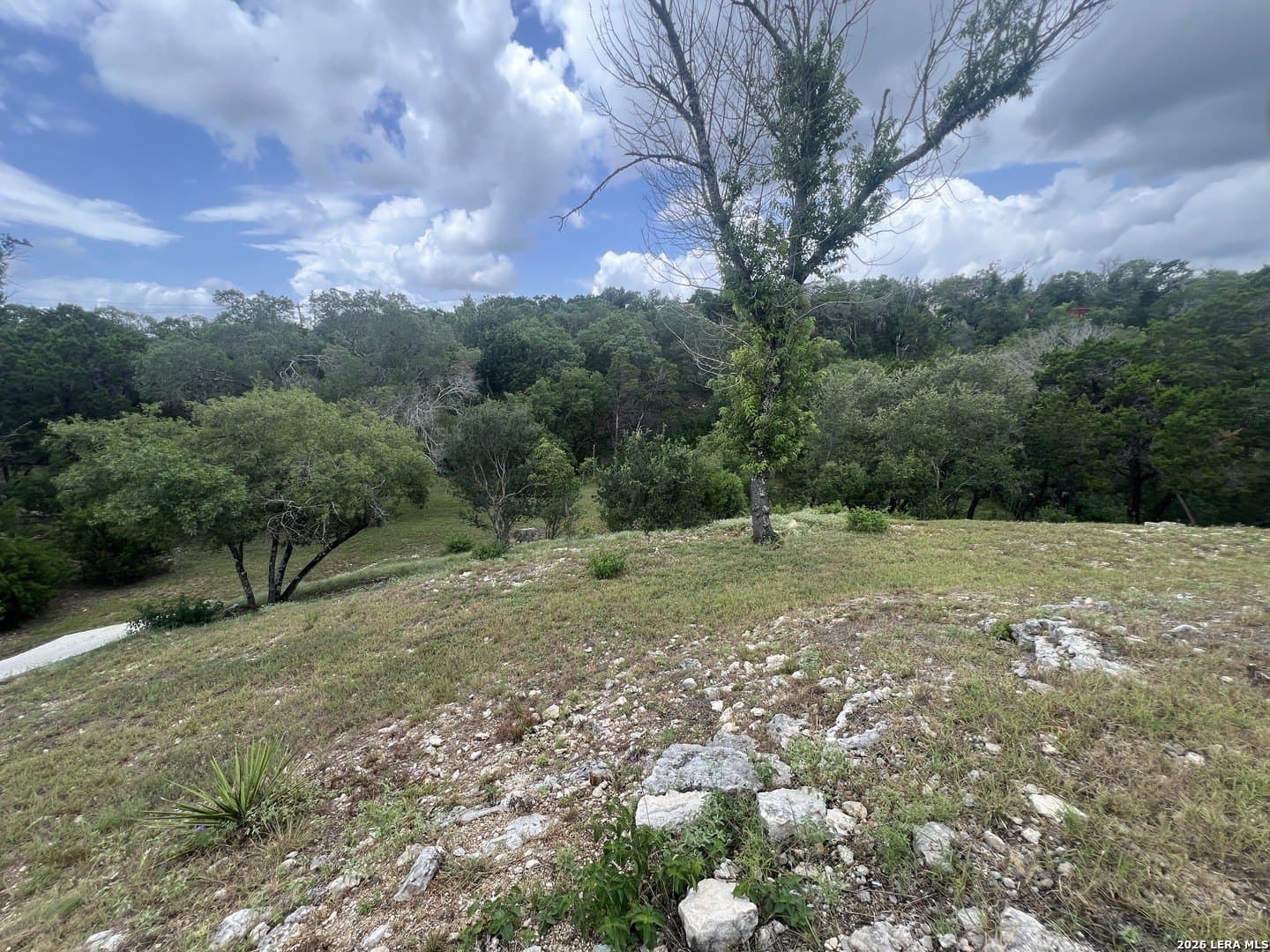 0.69 acres in Comal County - photo 6