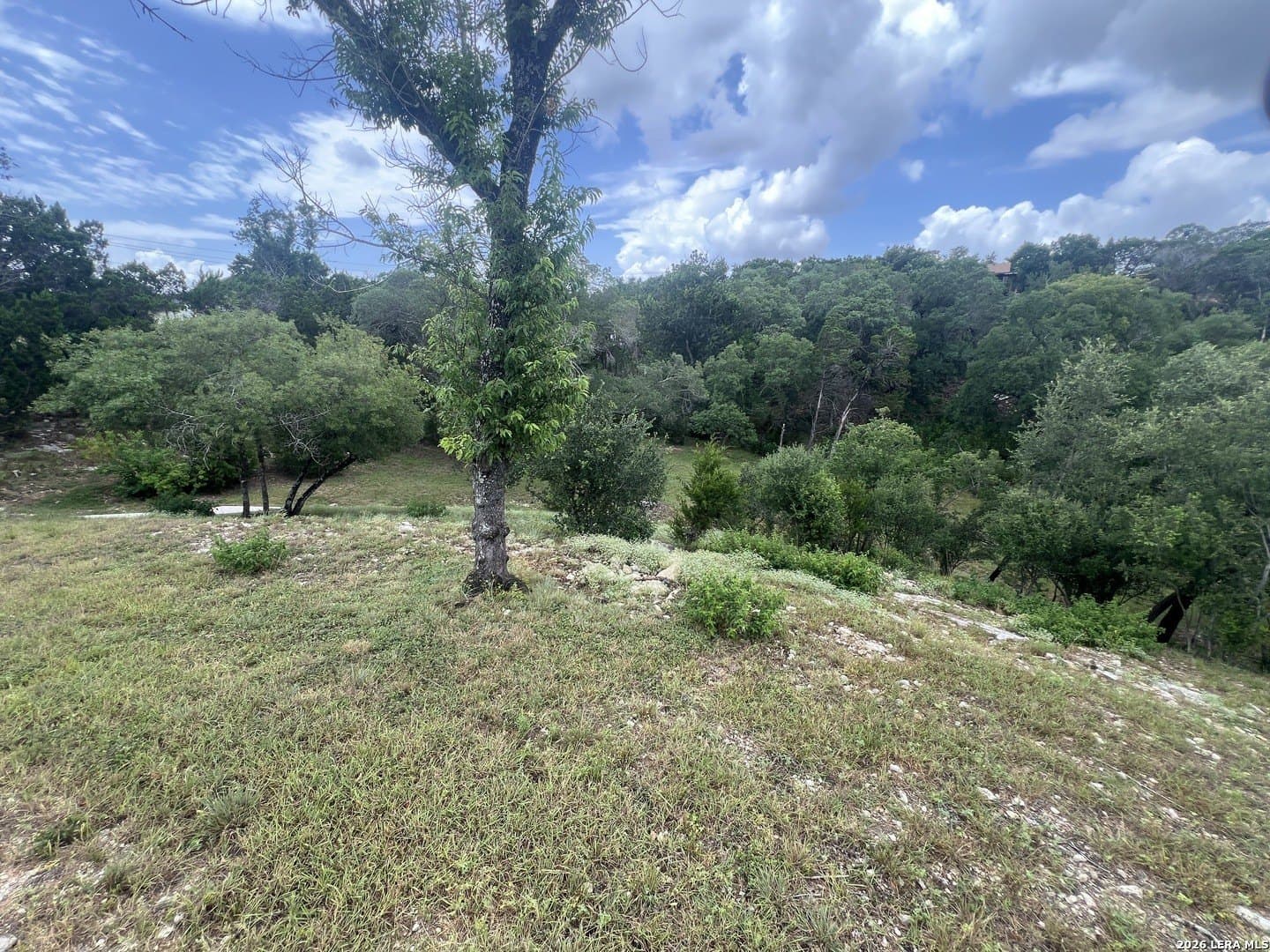 0.69 acres in Comal County gallery image 3