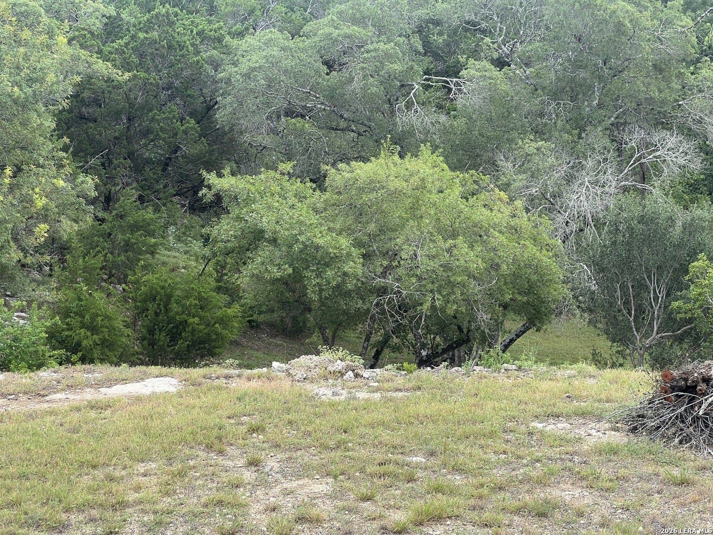 0.69 acres in Comal County - photo 12