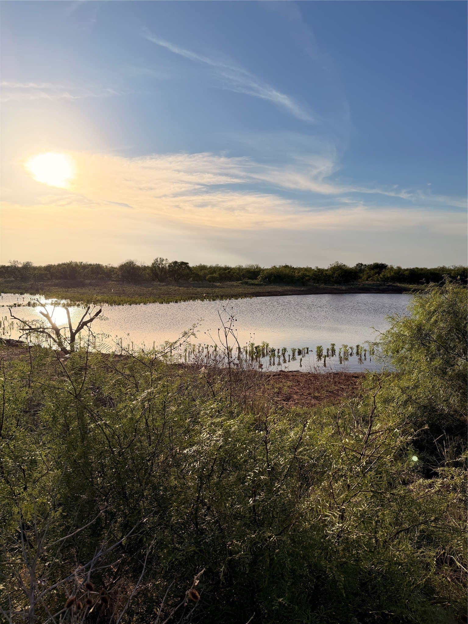 320 acres in Hardeman County - photo 9