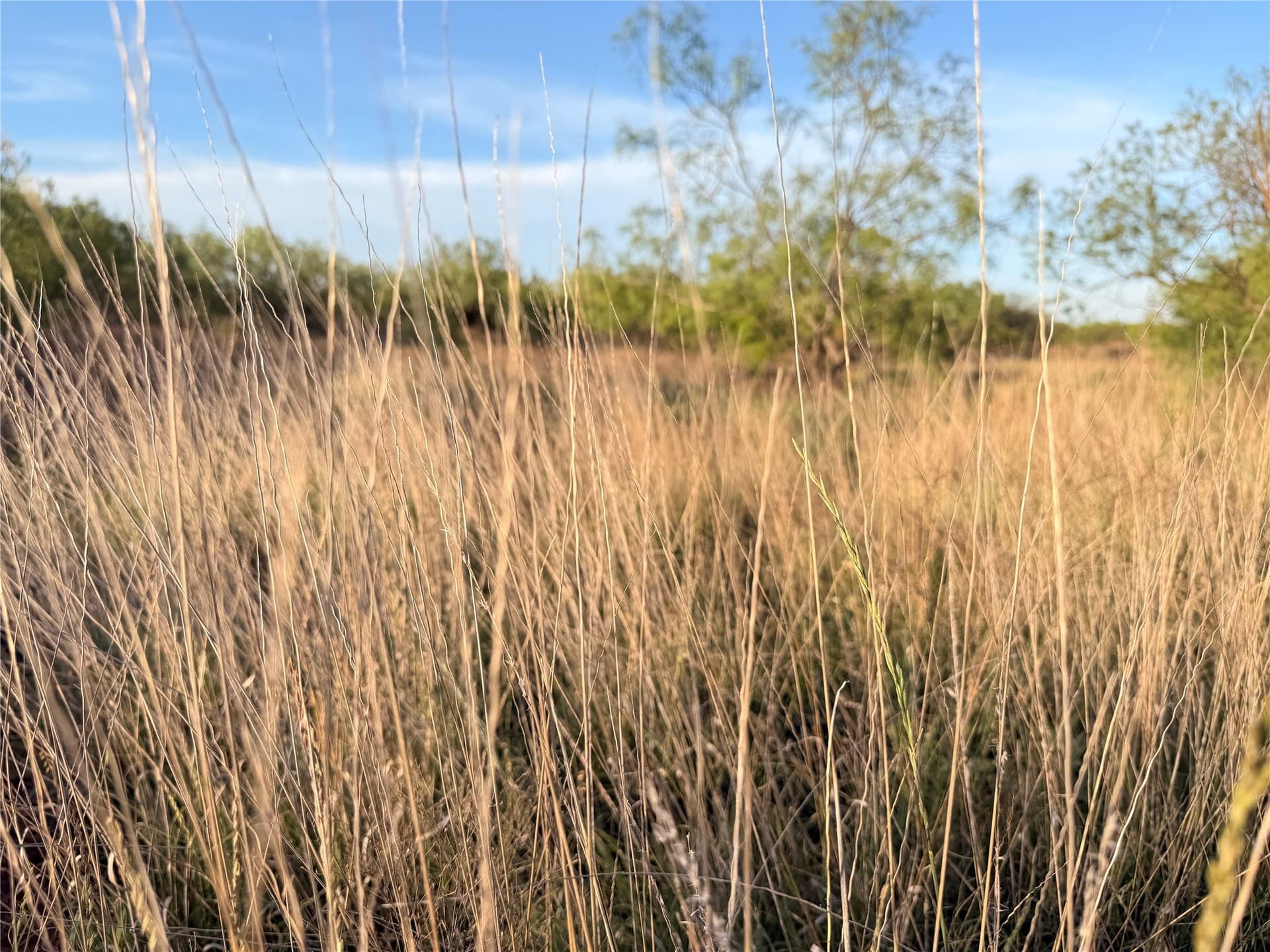 320 acres in Hardeman County - photo 15