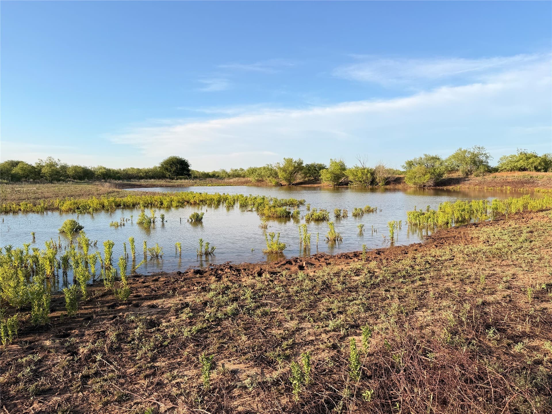 320 acres in Hardeman County - photo 23