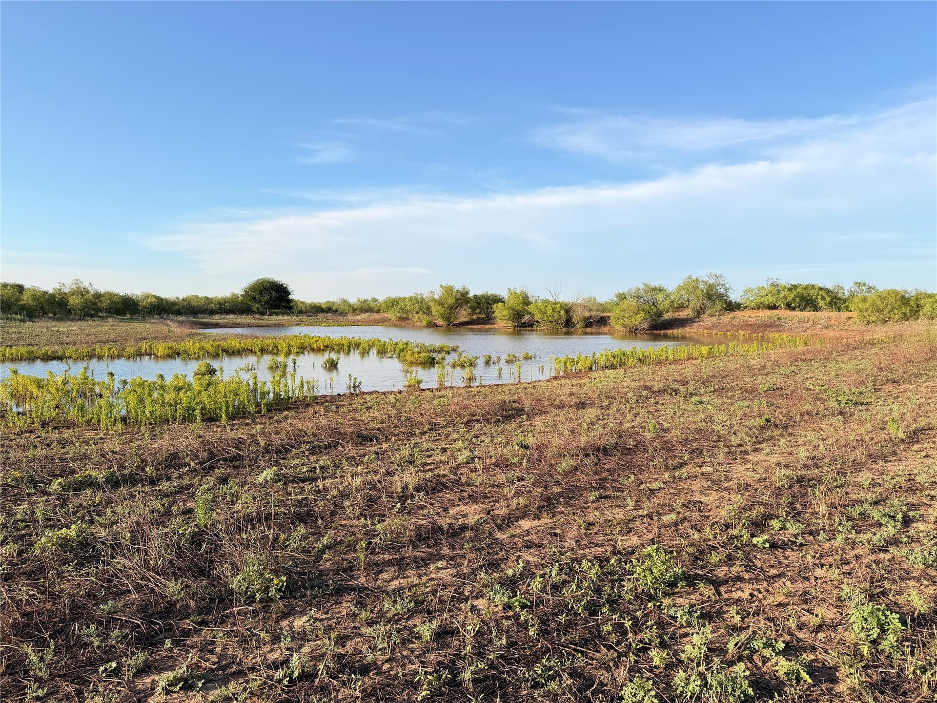 320 acres in Hardeman County - photo 24